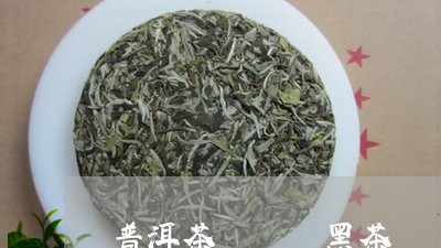 普洱茶   黑茶/2023031799393